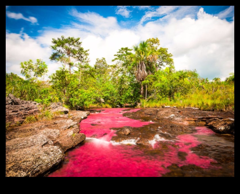 Pastelis un daba: floras un faunas skaistuma tveršana