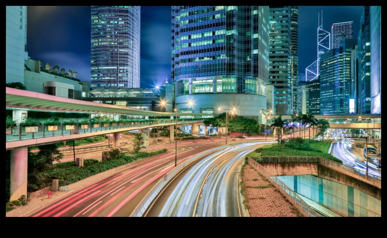 Pilsētas ainavas hronikas: pilsēttelpu evolūcijas un transformācijas dokumentēšana