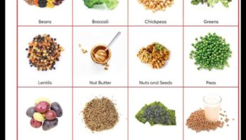 Diētas ar augstu olbaltumvielu saturu un asinsspiediena regulēšana: visaptveroša pieeja