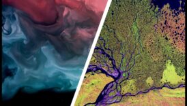 Zemes mākslas mantojums: modernā māksla dabiskajā pasaulē