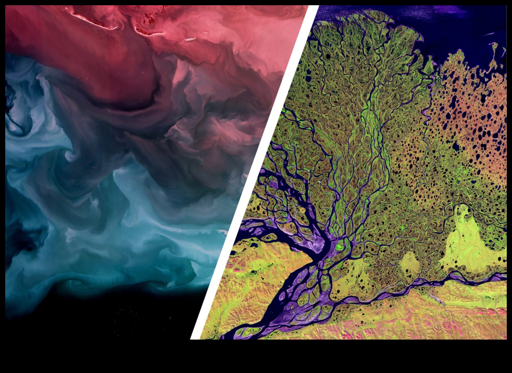 Zemes mākslas mantojums: modernā māksla dabiskajā pasaulē
