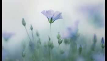 Pastelis un daba: floras un faunas skaistuma tveršana