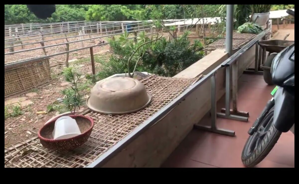 Pilsētas ainavas hronikas: pilsēttelpu evolūcijas un transformācijas dokumentēšana