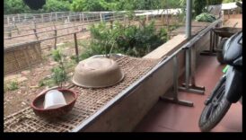 Pilsētas ainavas hronikas: pilsēttelpu evolūcijas un transformācijas dokumentēšana