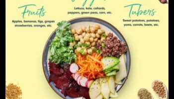 Veselu augu pārtikas produktu uztura spēkstacija